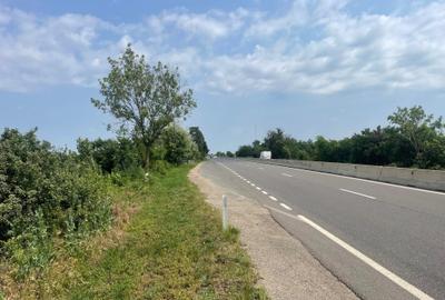Teren Construcții intravilan de 7200 mp, în Săftica - 1