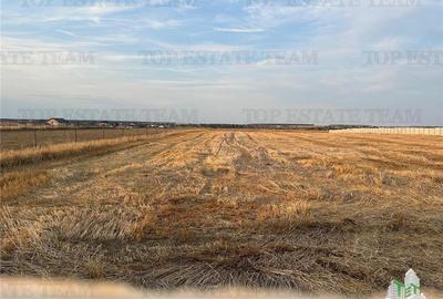 Teren Construcții intravilan de 2500 mp, în Bălăceanca - 2