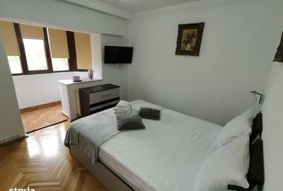 Apartament cu 2 camere decomandat în Sub Arini - 4
