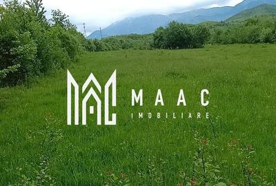 Teren de 2000 mp, în Turnu Roșu - 2