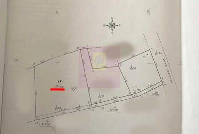 Teren de 3274 mp, în Lunca Mare