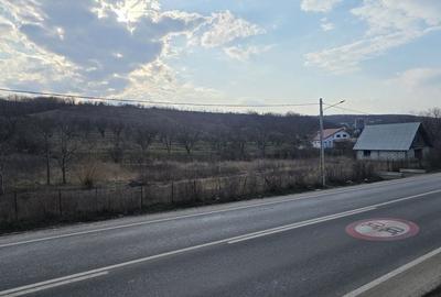 Teren de 5400 mp, în Miroslava - 2