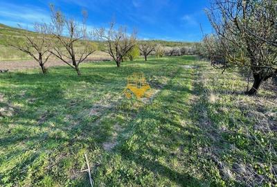 Teren agricol intravilan de 5500 mp, în Sopor - 7