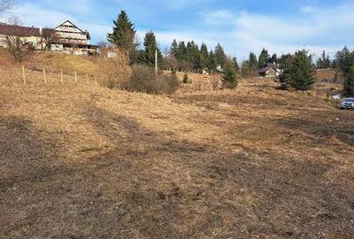 Teren de 18000 mp, în Prundu Bârgăului - 6
