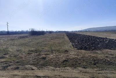 Teren de 11000 mp, în Răscruci - 3