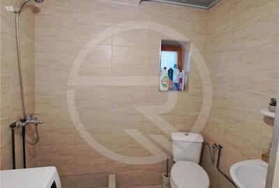 Casă cu 2 camere cu Canalizare în Făget - 1