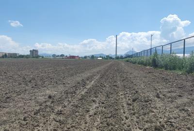 Teren Construcții intravilan de 9500 mp, în Triaj - 5