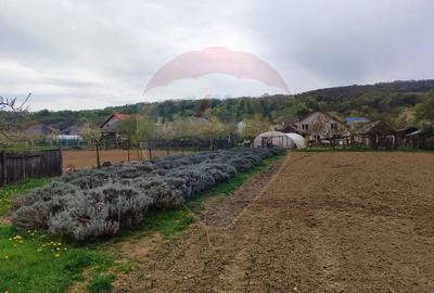 Casă cu 3 camere cu Teren 1361 Mp în Gârdani