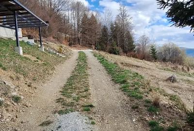 Teren de 700 mp, în Petros - 1
