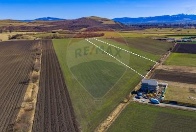 Teren agricol extravilan de 21893 mp, în Bod - 5
