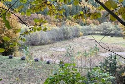 Teren de 5600 mp, în Vărșag - 8