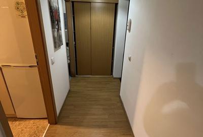 Garsonieră decomandată în Turnișor - 2