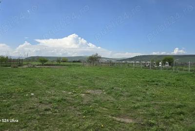 Teren de 1300 mp, în Jucu