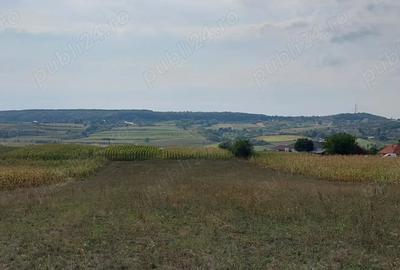 Teren de 18000 mp, în Drăgești - 2