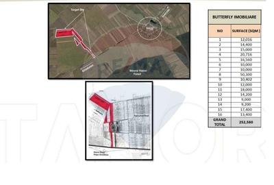 Teren agricol extravilan de 25.260000228882 mp, în Dascălu - 5