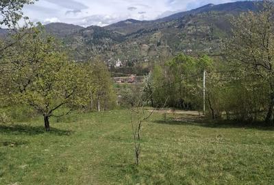 Spațiu comercial, în Valea Vișeului - 4