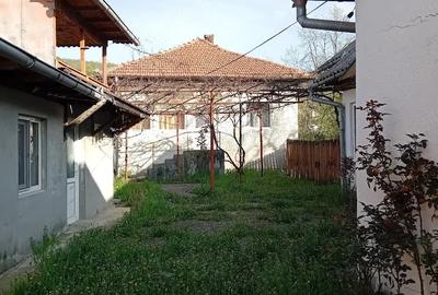 Casă cu 3 camere cu Teren 3160 Mp în Davidești