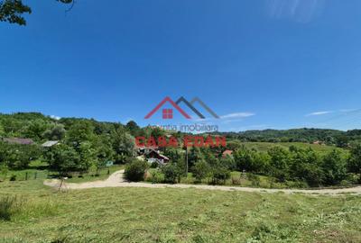 Teren Construcții intravilan de 4852 mp, în Breaza - 10