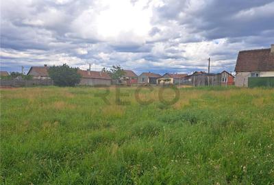 Teren de 1035 mp, în Cefa - 2