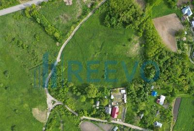 Teren de vanzare, Com. Racova, Str. Bradului, Bacau - 5