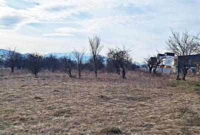 Teren Construcții intravilan de 933 mp, în Ghimbav Livadă - 8