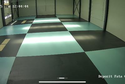 Spațiu industrial, de 595 mp, în Domnești - 16