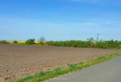 Teren de 10000 mp, în Cerneteaz - 2