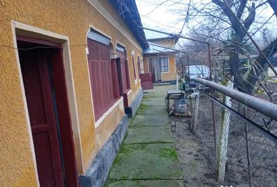 Casă cu 6 camere în Păuleasca - 10