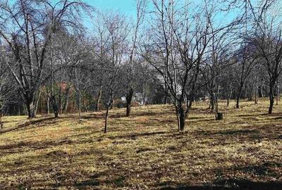 Manuel recomanda : Teren Breaza Central 4000Mp ,aproape de piata,negociabil - 7