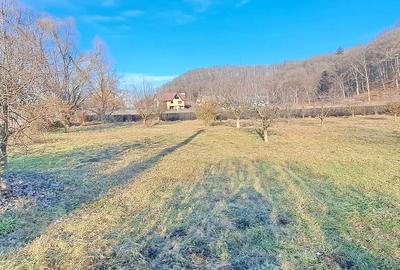Propriete superbă la marginea pădurii în Râșnov Primăverii 5,000 mp - 4