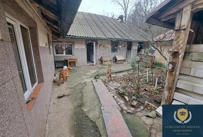 Casa 148 mp construi?i, 3 camere, 2 bucatarii, Re?i?a, Muncitoresc - 10