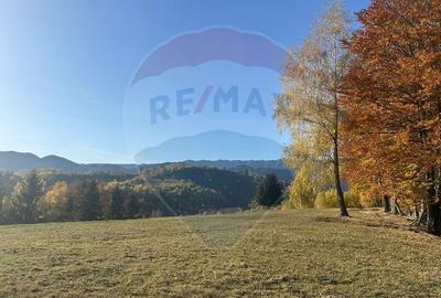 Oportunitate de investiție ! Teren de vis în Pestera - 125.370 mp - 19