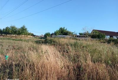 RECO Teren intravilan Sanmartin - 3