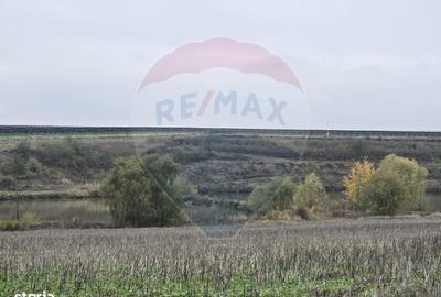 Teren de 129700 mp, în Iepurești - 14