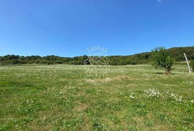 Teren agricol extravilan de 11000 mp, în Unirea - 7