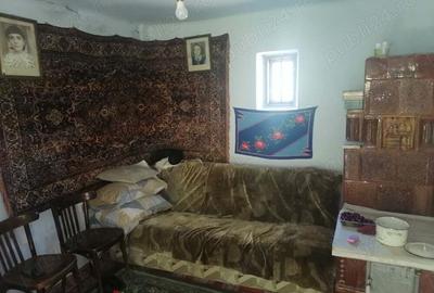 Casa boga?i glambocel - 6
