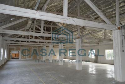 Hala 750mp, ideala productie-depozitare, zona Iosia-Lidl - 2