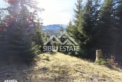 Teren de 2733 mp, în Șugag - 3