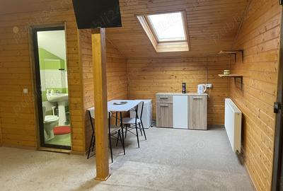 Camera de inchiriat - 3