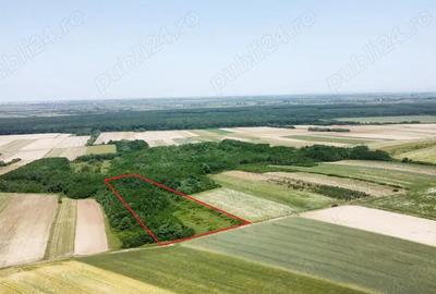 Teren de vanzare - 15.740 mp | Viile Satu Mare | Priveliste superba - 2