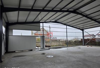 Depozit/hala/spatiu industrial Pantelimon - Comuna Pantelim - 3