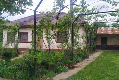 Casa de vanzare in comuna Cosoveni - 1