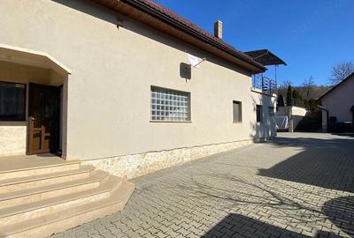 Casă cu Teren 1905 Mp în Stejeriș