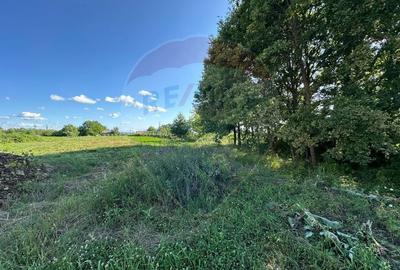 TEREN pentru "ACASA "- Bozanta Mica - 4