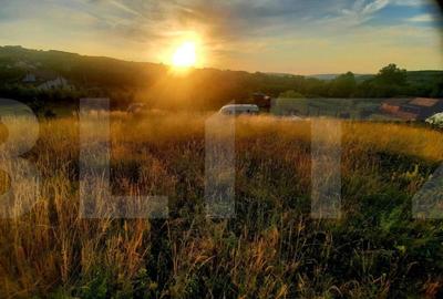 Teren intravilan 1129 mp, PUZ in lucru, in Borhanci - 1