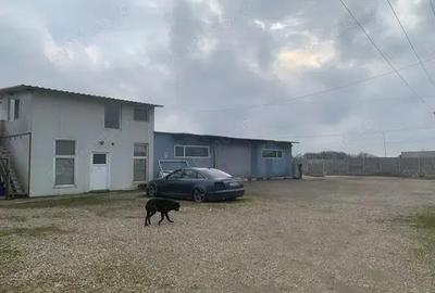 Inchiriez hala la 10 km de Timisoara! - 3