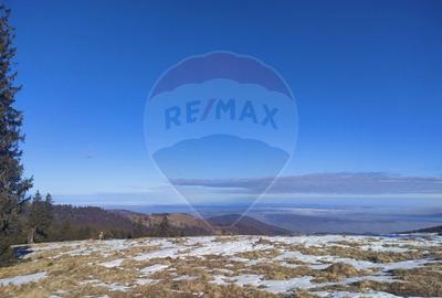 Teren agricol extravilan de 5609 mp, în Gura Râului - 9