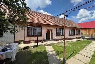 Casă cu Teren 1800 Mp în Arpașu de Jos - 3