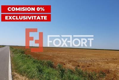 COMISION 0% Teren extravilan 4,47 ha, 800m front stradal, Peciu Nou - ID V5491 - 4