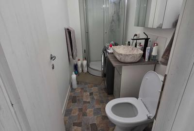 Apartament cu 3 camere decomandat în Timpuri Noi - 6